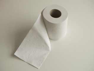 a roll of plain white toilet paper