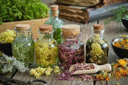 Bottles of infusion of healthy medicinal herbs and healing plants on wooden table. Herbal medicine. Old books and box of healthy moss on background.