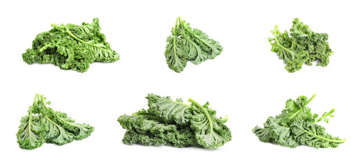 Set of fresh green kale leaves on white background