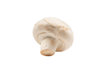 Champignon mushroom isolated on white background.