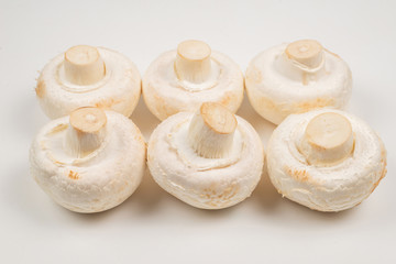 Fototapeta na wymiar Champignon mushroom isolated on white background.