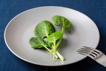 Fresh spinach leaves on a grey plate on linen tablecloth