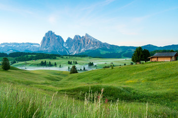 Aฺ Beautiful morning scenery of Alpe di siusi, Dolomite, Italy