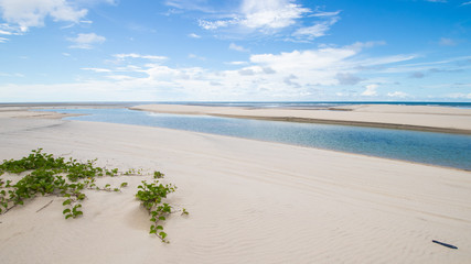 Dunes de Jericoacoara