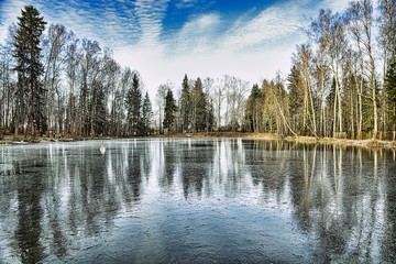 Fototapeta premium On the shore of an ice-covered pond