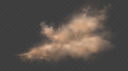 Fototapeta na wymiar Dust sand cloud with stones and flying dusty particles isolated on transparent background. Desert sandstorm. Realistic vector illustration