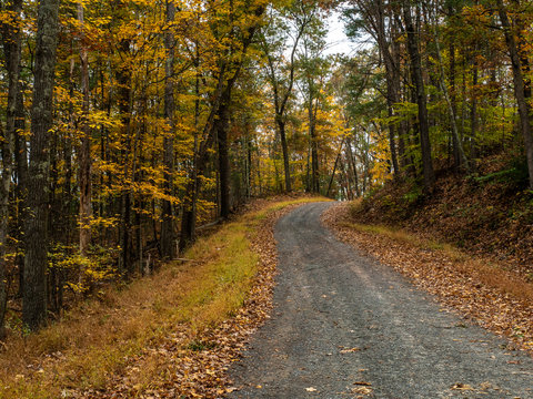 Winding Road