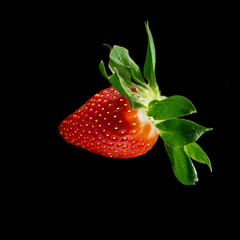 closeup of a single ripe sugar strawberry isolated on a black background