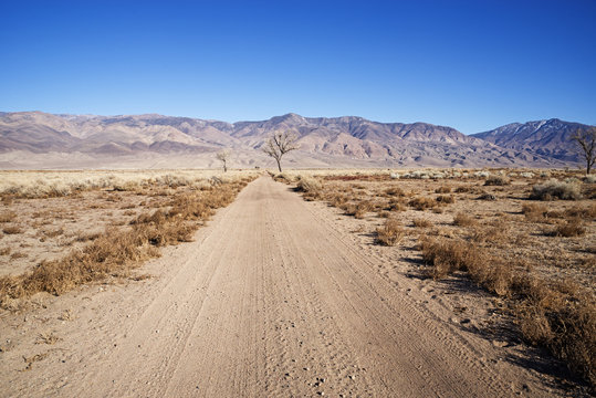 Owens Valley Dirt Road