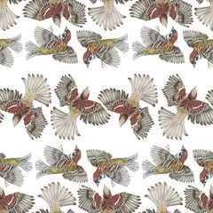 Seamless pattern with flying sparrows in white background