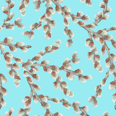 Seamless pattern with fluffy willow branches on sky blue background