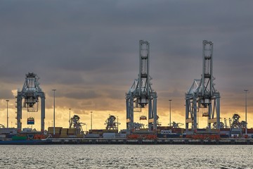 Cranes of a container shipping terminal