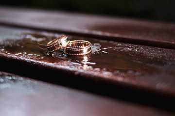  gold rings with stones on a brown background