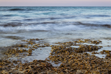 roca en la arena frente al mar al atardecer