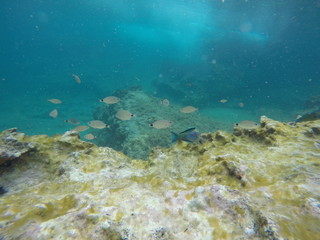 DCIM\100GOPRO\G0030735.