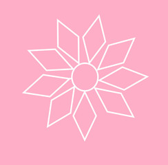 white colour flower with pink background.
