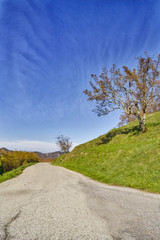 Road crosses the green Ligurian hills