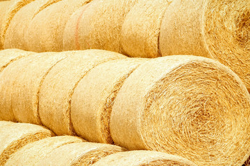 a bales on the field are folded for second use on the field to the animal background