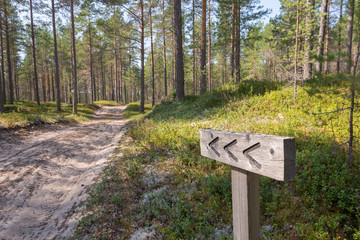 Wooden sign along the hiking trail in Hailuoto island, Finland


