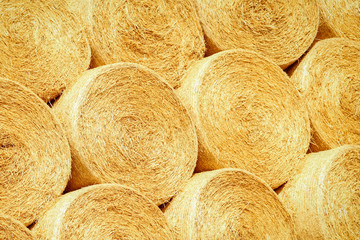 a bales on the field are folded for second use on the field to the animal background