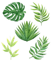 Aquarell-Set von tropischen Blättern