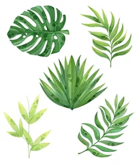 Tapeten Monstera Aquarell-Set von tropischen Blättern