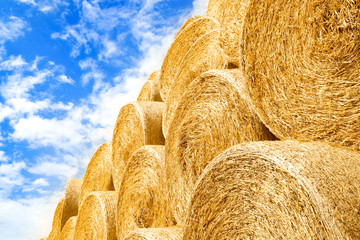 a bales on the field are folded for second use on the field to the animal background