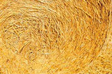 a bales on a background silhouette of a cowboy on a straw field ready for animals and on the field
