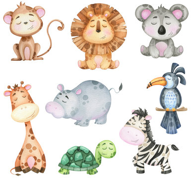 big watercolor set of tropical animals on white background