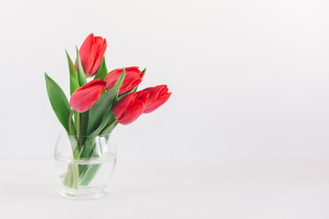 Tender red tulips in a vase on a white background.