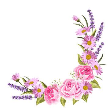Beautiful pink roses and lavender flowers on white background. Vector illustration