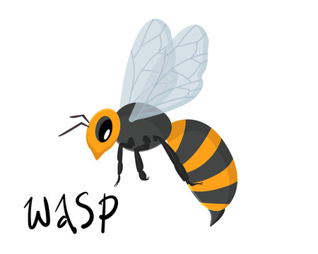 vector illustration with wasp, bee on a white background isolated