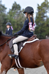 Hunter/jumper horse show