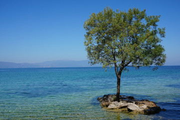 Fototapeta na wymiar Uninhabited island. Lake Ohrid was declared a World Heritage Site by UNESCO. Trpejca, North Macedonia.