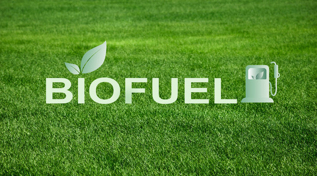 Alternative energy. Creative collage with word BIOFUEL against green grass on background