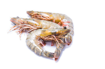 Fresh Tiger shrimp isolated on white background