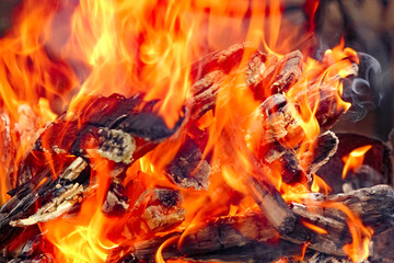 a Fire with coals and fire on nature picnic background. Burns out a bonfire for food on the street
