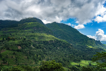 Obraz premium Nature Scene in Sri Lanka