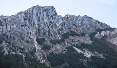 Spanish Mountain Landscape 