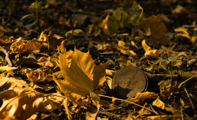 Краски весны и осени