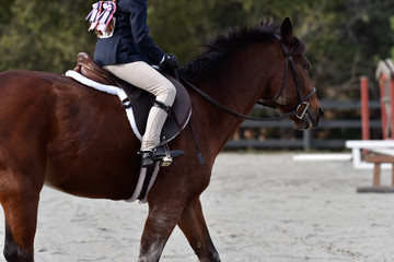 Hunter/jumper horse show