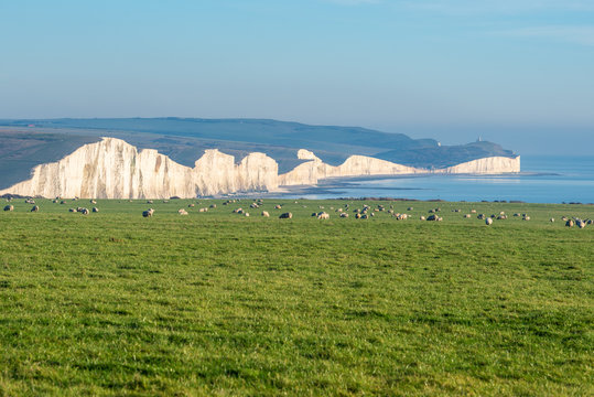 Across fields towards the Seven Sisters cliffs