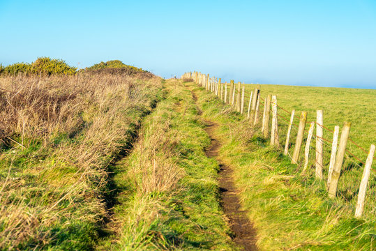 Ruts of a rustic walk and farm track with fence