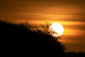 sunset in the forest