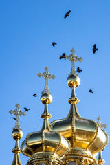 Sity Pushkin Catherine Palace, bathed,Russia