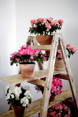 Stylish interior design with flowers and candles