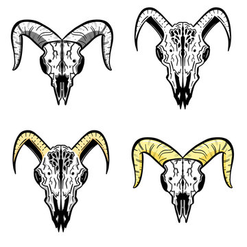 Imaginary Hand Drawn Animal Skull Carton Logo Illustration Vectors
