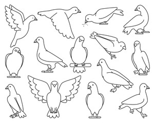Pigeon of peace outline vector illustration on white background.Vector illustration set icon dove of bird .Isolated set outline icon pigeon.