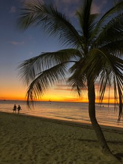 Obraz premium sunset on the beach