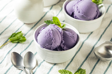 Homemade Purple Japanese Ube Ice Cream